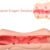 MASTURBADOR VAGINA/BOCA