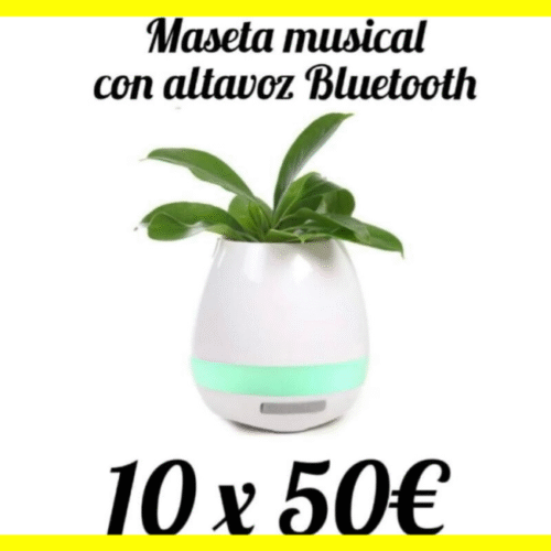 MASETA MUSICAL CON ALTAVOZ Y BLUETOOTH