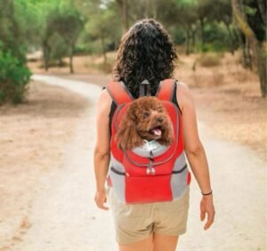 whatsapp-image-2024-11-04-at-17-32-56-standard.jpg BOLSO PARA MASCOTA