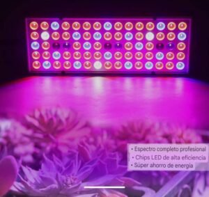whatsapp-image-2024-11-08-at-16-45-45-standard.jpg LUZ LED PARA PLANTAS O DECORACION